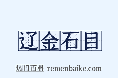辽金石目是什么意思的图片